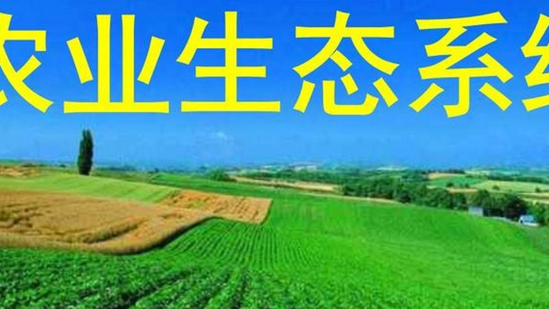 智慧农业，未来农业发展的重要方向