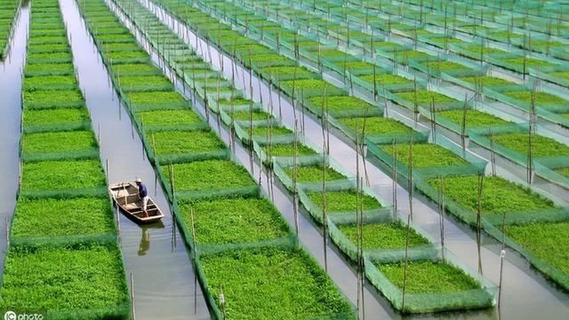 农业种植加盟，设备清单揭秘：从选型到应用**