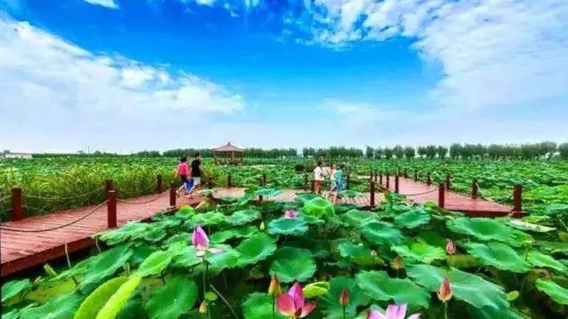 家庭农场旅游，品牌如何脱颖而出？**