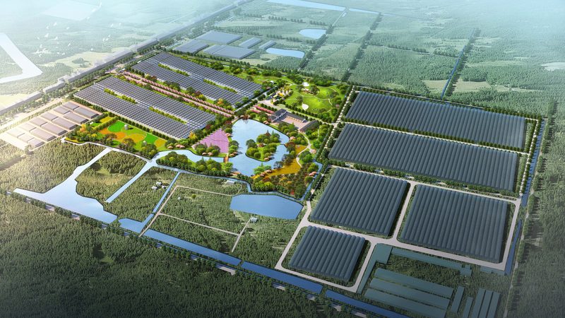 高利润生态养殖：揭秘热门品种及养殖要点