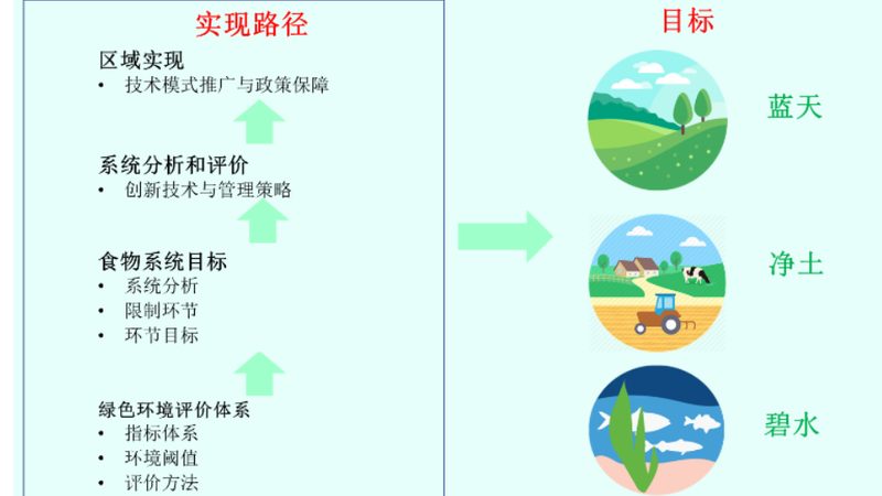绿色食品认证：价格背后的价值与考量