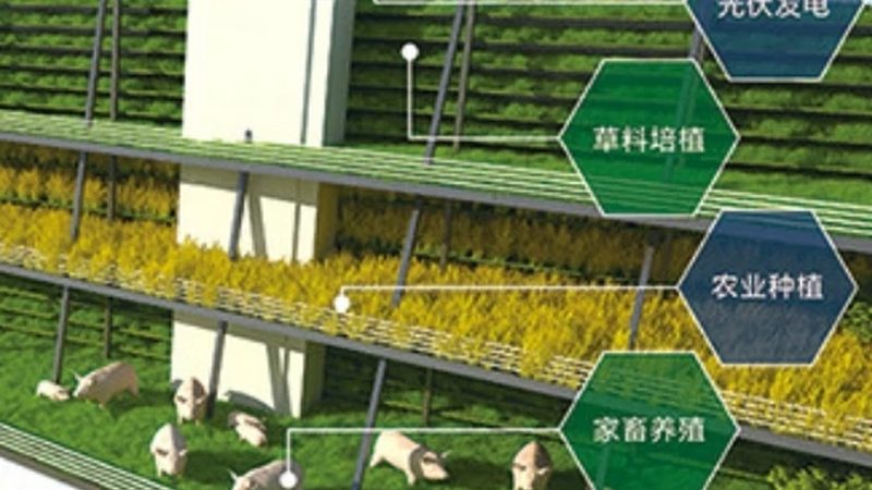 生态农业循环经济模式：构建可持续发展的绿色蓝图