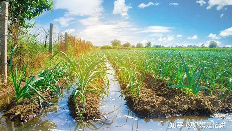 养殖业项目加盟，政策解读与合规操作指南**