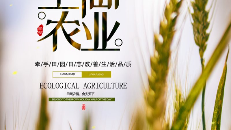 智能灌溉系统：远程控制，农业节水新篇章